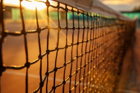 Types of network sports : Euronix