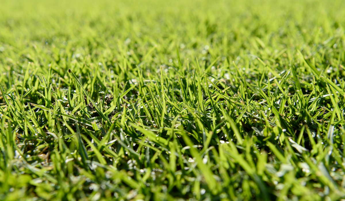 Los tipos de césped sintético más usados en pistas de pádel y sus ventajas Los tipos de césped sintético más usados en pistas de pádel y sus ventajas