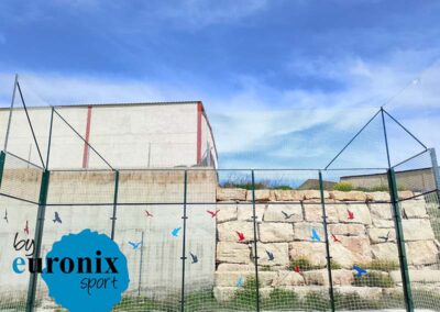 Vinilos y redes anti-aves, La Puebla de Abortón